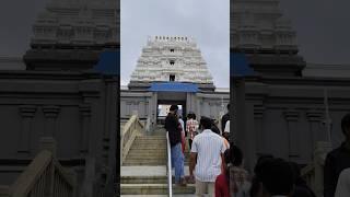 Srinivasa Govinda #balaji #tirupati #travel #isckon #bangalore #temple #harekrishna #shorts #krishna