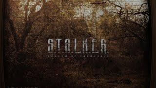 S.T.A.L.K.E.R: Cold Autumn