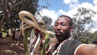 King of the snake the guy from Tanzania Miono village (the hero unknown)