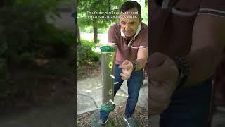 HOW TO ATTRACT MORE GOLDFINCHES TO YOUR GARDEN  Frankie Flowers