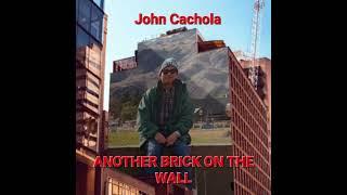 ANOTHER BRICK IN THE WALL (cover)