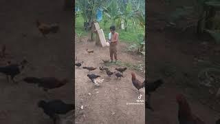 feeding time