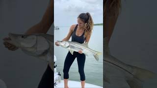 Tug of war and I won #fishing #florida #snook #catchandrelease #fish #fishingvideo #inshorefishing