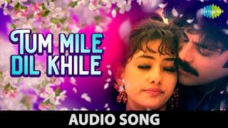 Tu Mile Dil Khile | Kumar Sanu | Alka Yagnik | Criminal | Nagarjuna | Manisha Koirala | Audio Song