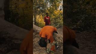 forest cinematic action #shorts #action ||