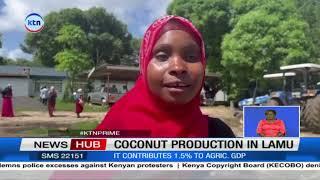 Govt urged to finance coconut production in Lamu, Kenya's coconut economy is about Ksh 12.2B