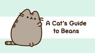 Pusheen: A Cats Guide To Beans