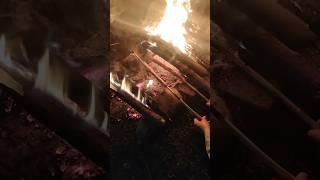  Kebab on Sticks? Desi BBQ Hack You Need to Try!#shorts #howtobbqright