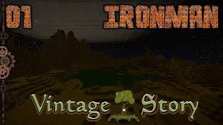 Vintage Story - IronMan - 1