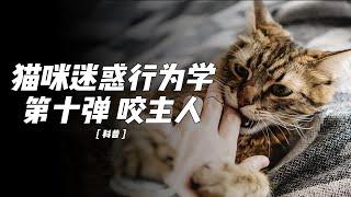 猫咬人的底层逻辑，猫咪十大迷惑行为第十弹 咬主人