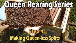 Making Queen-less Splits...Step 4