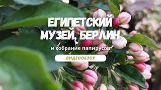 ДРЕВНИЙ ЕГИПЕТ, cвитки и предметы культуры