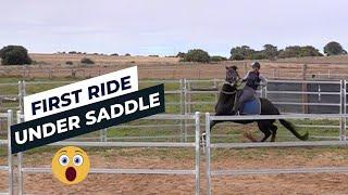 Horse Training - First Ride Under Saddle