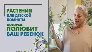 Растения для детской, которые полюбит ребенок