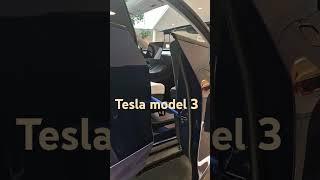 Tesla model 3 есть вопросы #top #automobile #иммиграция #shopping