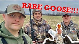 Kentucky Waterfowl Hunting - Rare Goose!!!!