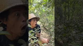 masteran burung memes viral funny moments #funnyvideo
