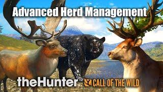 Advanced Herd Management - theHunter Call of the wild