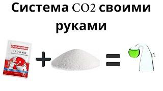 Co2 для аквариума своими руками. Брага