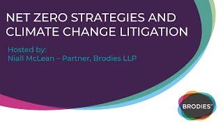 Net Zero strategies and climate change litigation