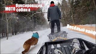 Весёлый кайф! Покатушка на Мотособаке - Фантастическая проходимость!