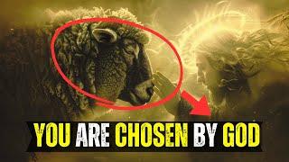 Why Black Sheep Are God's Chosen Ones