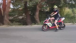 Stage6 Racing Modular Yasuni C21 - Wheelies Launches