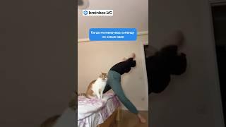 Если это не жизнь бизнесмена, то тогда что? #стартап #бизнес #инвестиции #brainboxvc