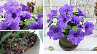 How to make beautiful Petunia from crepe paper | DIY