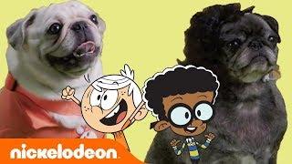 Lincoln & Clyde’s Best BFF Moments  Pug House-Style | The Loud House