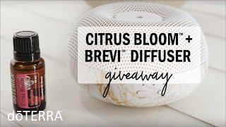 doTERRA Citrus Bloom™ blend GIVEAWAY!