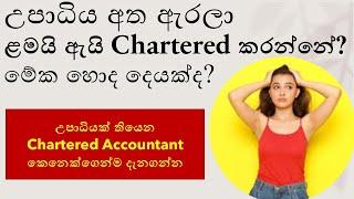 CA vs Degree in 2024: Why More Students Are Choosing Chartered Accountancy Over Traditional Degrees