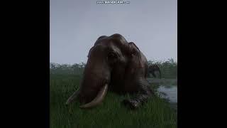 Indian Elephant bull comes to say hello!