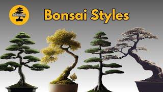 Exploring Different Bonsai Styles