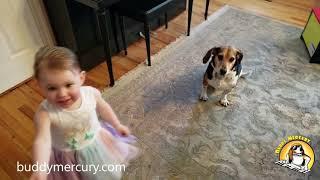 Buddy Mercury and Baby's Surprise Duet for Their Mommy!