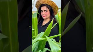 There is a princess in Dubai who has cars made of gold. Luxurious palace worth crores#shortvideo