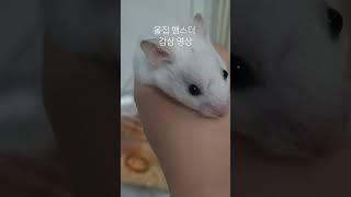 넘 커엽🩷🩷
