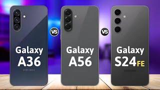 Samsung Galaxy A36 Vs Galaxy A56 Vs Galaxy S24 FE Which is Best for You