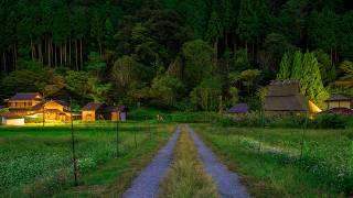 Evening Walk in Small Farming Village | Kayabuki no Sato - Miyama, Japan 4K