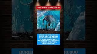 "Yuka" Wakes Up From Her Sleep. #mammoth #fosil #science #uniquefacts