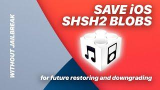 Save SHSH2 blobs 2021 - blobsaver v3.0 - MacOS iOS 14.5, 14.6 beta without jailbreak