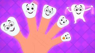zähne finger familie | Finger familie auf Deutsch | Kinderreime für Kinder | Teeth Finger Family