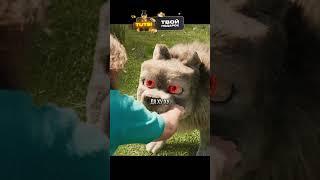 Страшная ночь в майнкрафте #майнкрафт