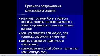 Введение в неврологию. Спинной мозг.