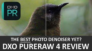 DxO PureRaw 4 Review - Just Hype?