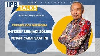 IPB Talks: Prof. Dr. Suryo Wiyono Ciptakan Teknologi Mikroba Intensif untuk Budidaya Cabai