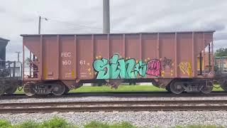 Graffiti Art on Tri-Rail, Cargo Trains, and Amtrak: How It Transforms USA Train Culture