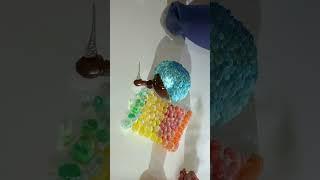 #candy #funny #kcgaming