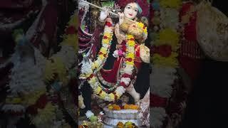 Sunday Special Darshan ️ | Sri Sri Radha Madan Mohan | ISKCON Ghaziabad | #love