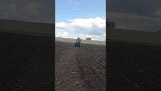 Мотоблок Скаут. Боронование посевов.